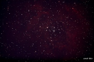 バラ星雲