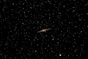 NGC891